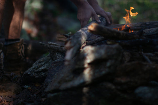 person holding firewood