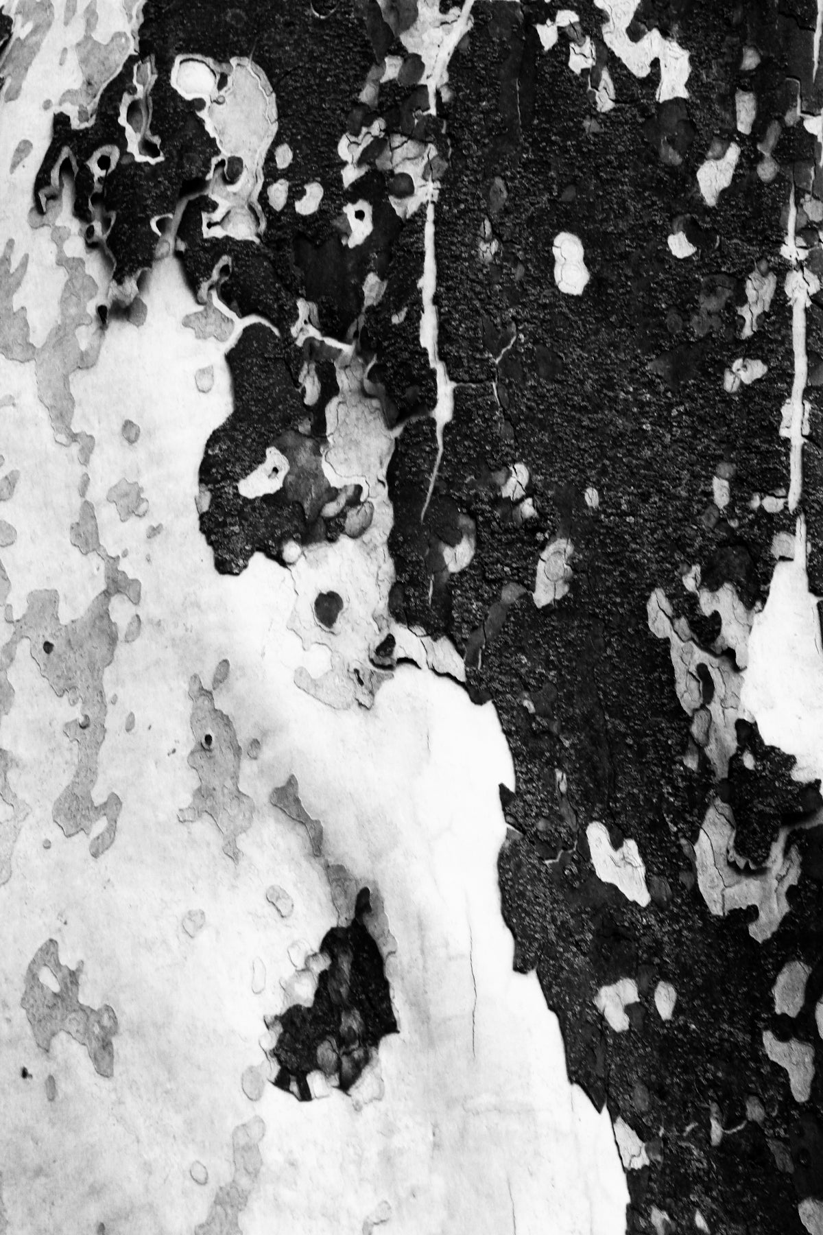 Winter Survival Guide: Snow Camping Shelter Techniques – Deadfall Creations