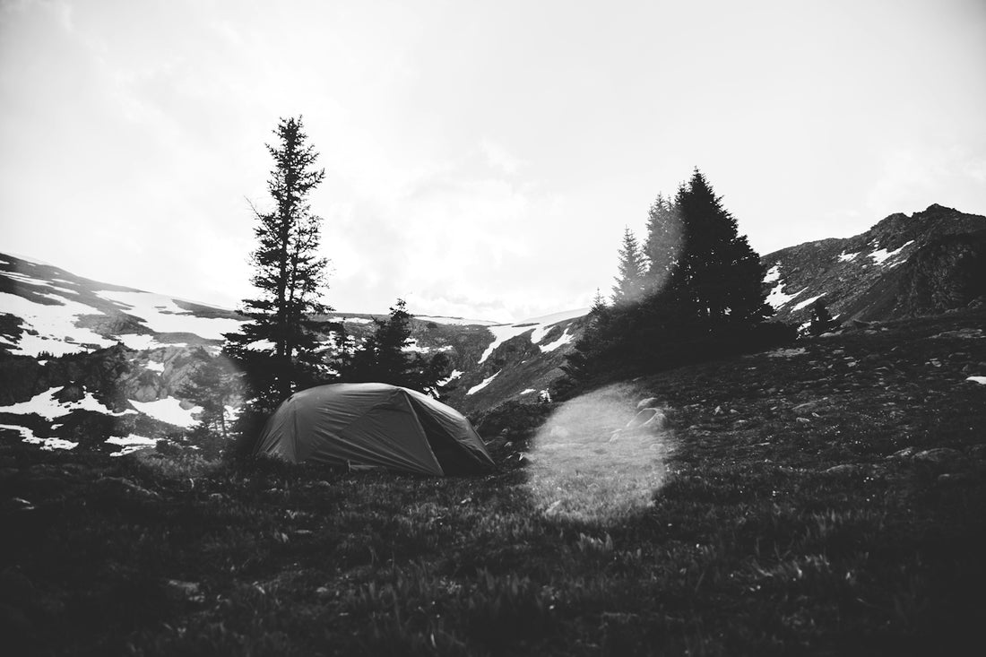camping tent on grass near trees in grayscale