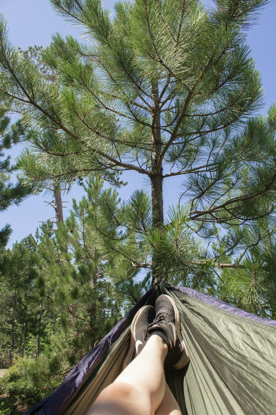 green tree under blue sky during daytime