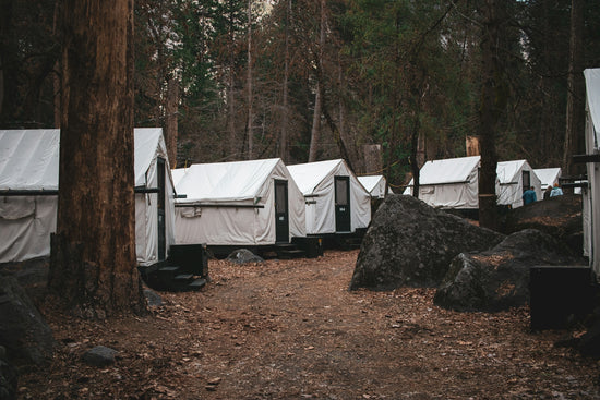 white tent on brown ground surrounded by green trees during daytime