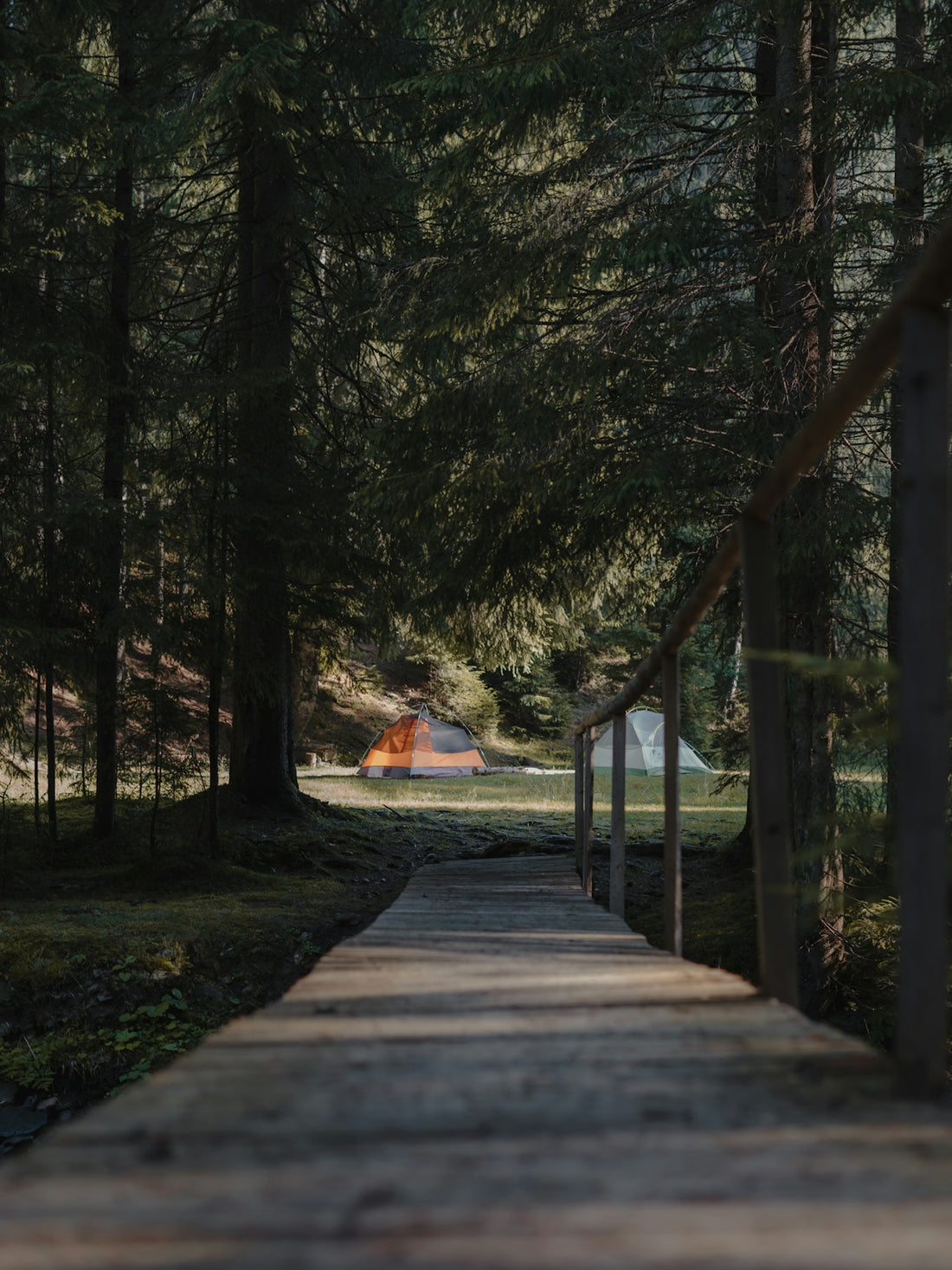brown wooden bridge in the woods