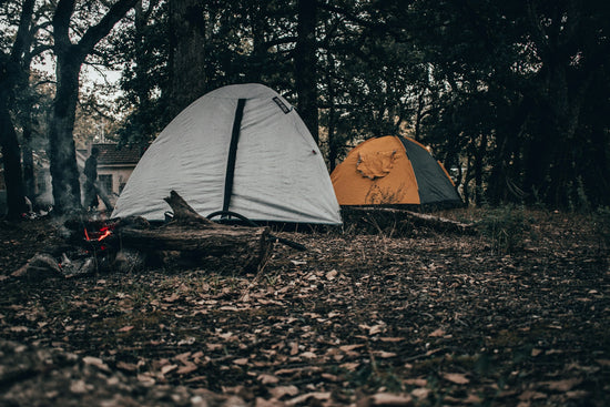 a couple of tents sitting in the middle of a forest