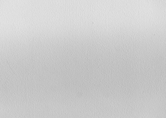 a black and white photo of a bird on a branch