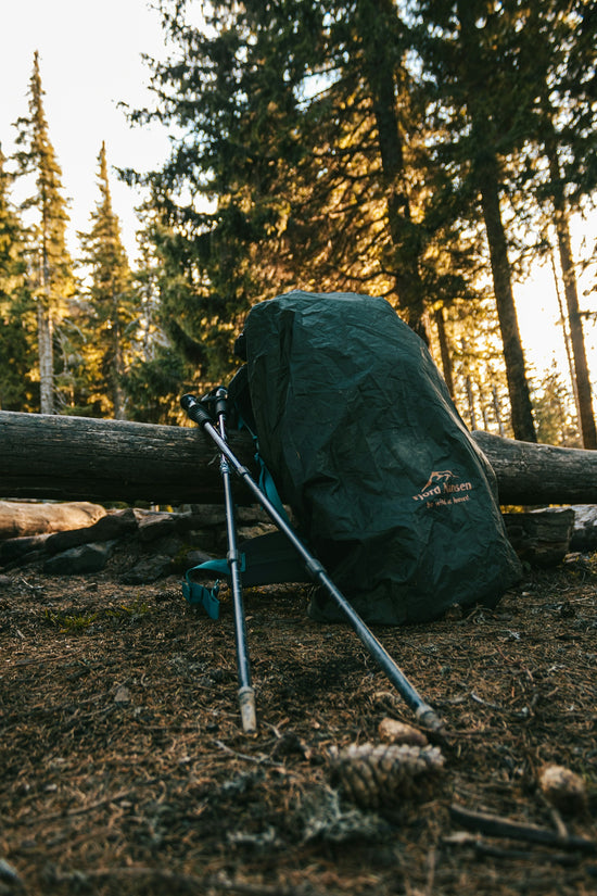 a backpack sitting on the ground next to a fallen tree