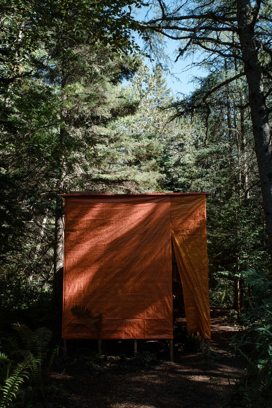 a shed in the woods