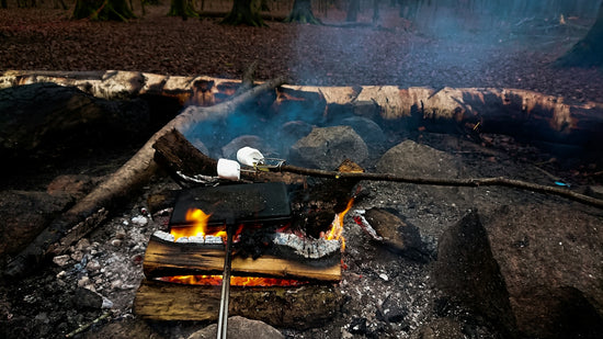 a campfire with a flame