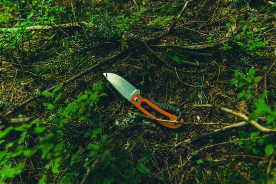 a guitar lying on the ground