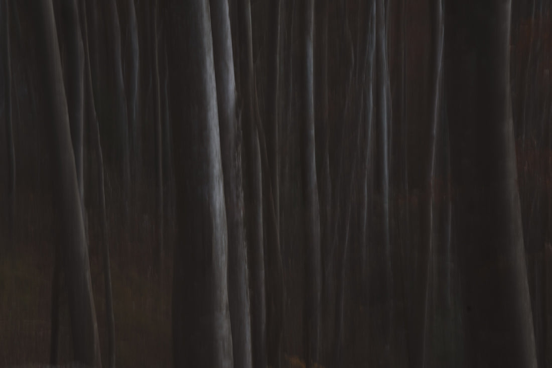 a close up of a curtain