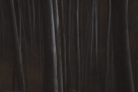 a close up of a curtain