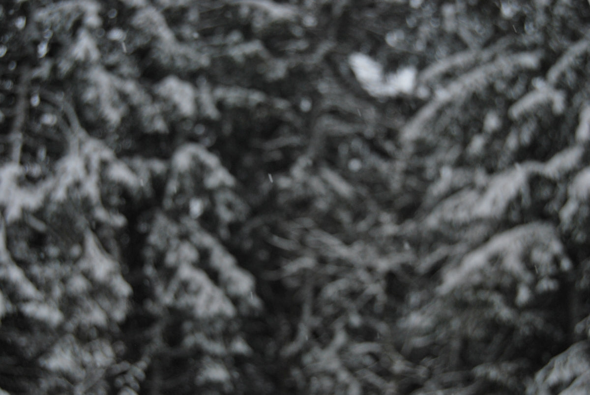 Winter Camping Essentials: Mountain Survival Gear Guide – Deadfall ...