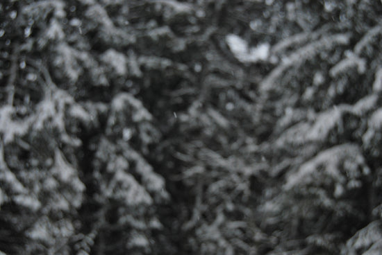 a person holding a snowboard in front of a forest