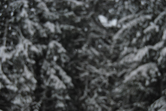 a person holding a snowboard in front of a forest