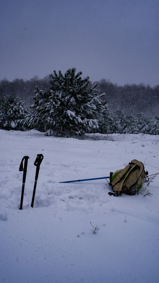 a pair of skis and poles laying in the snow