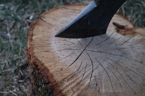 a close up of a tree stump with a knife stuck in it