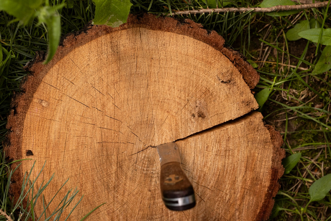 a piece of wood with a knife stuck in it