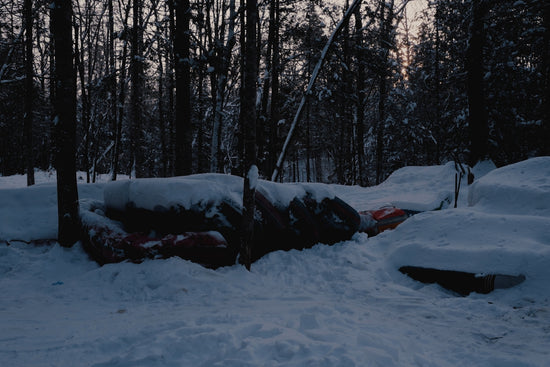 a pile of snow sitting in the middle of a forest