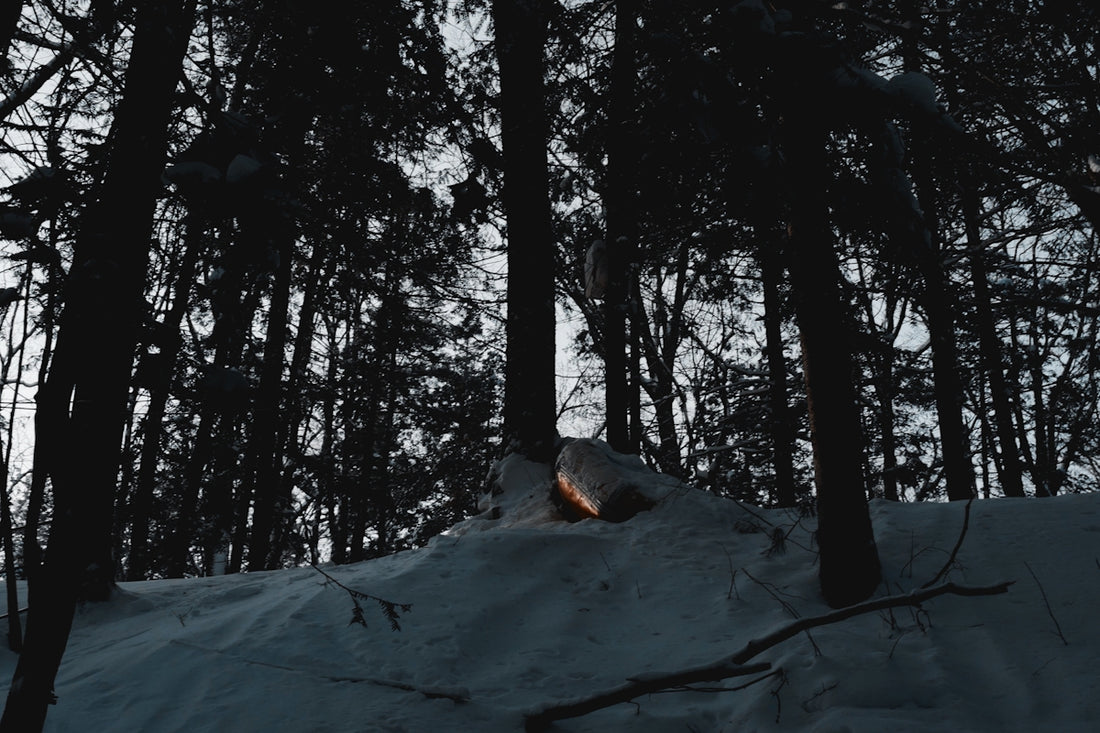 a small fire in the middle of a snowy forest