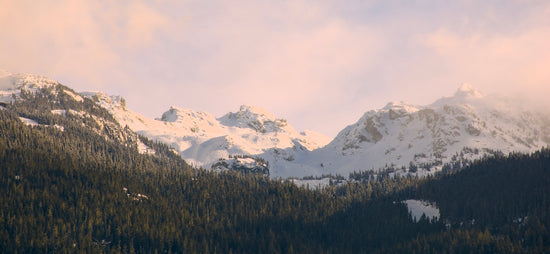 a snow covered mountain range with trees in the foreground