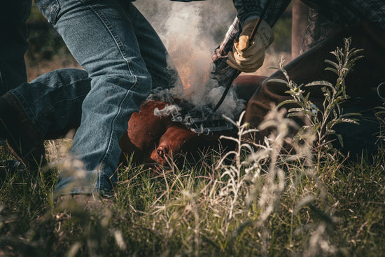 A group of people standing around a campfire