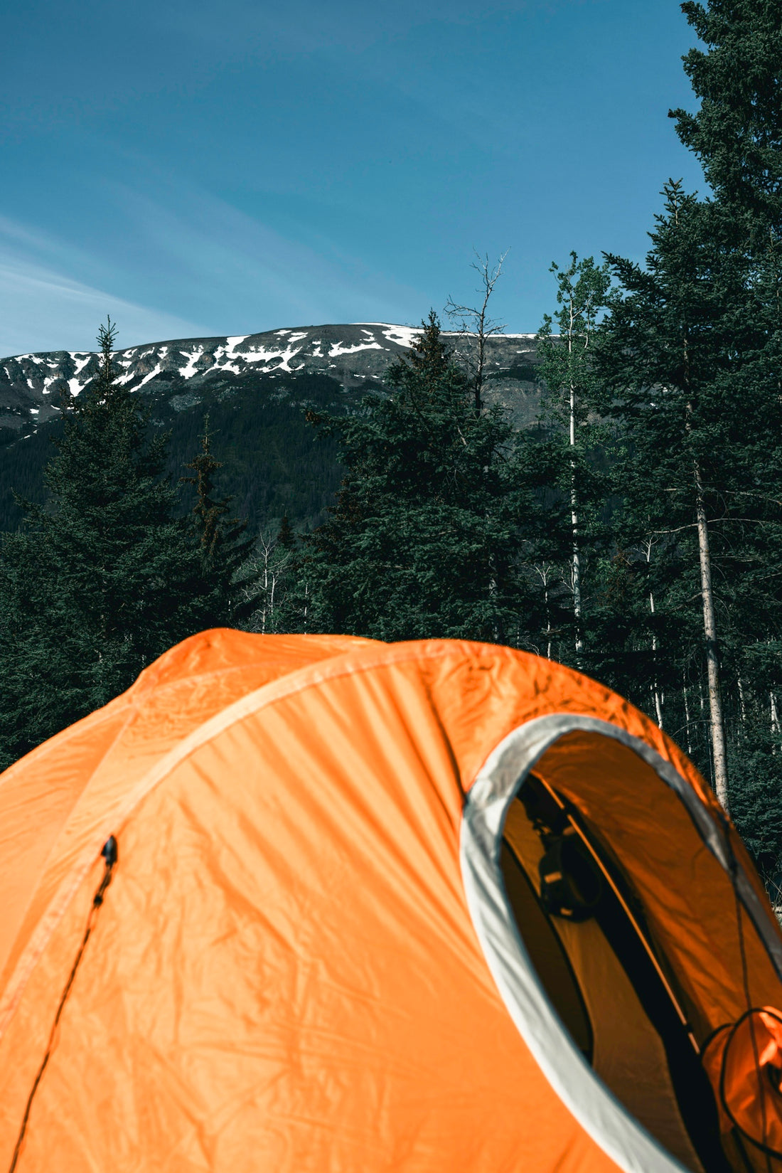 A tent pitched up in the woods with a mountain in the background