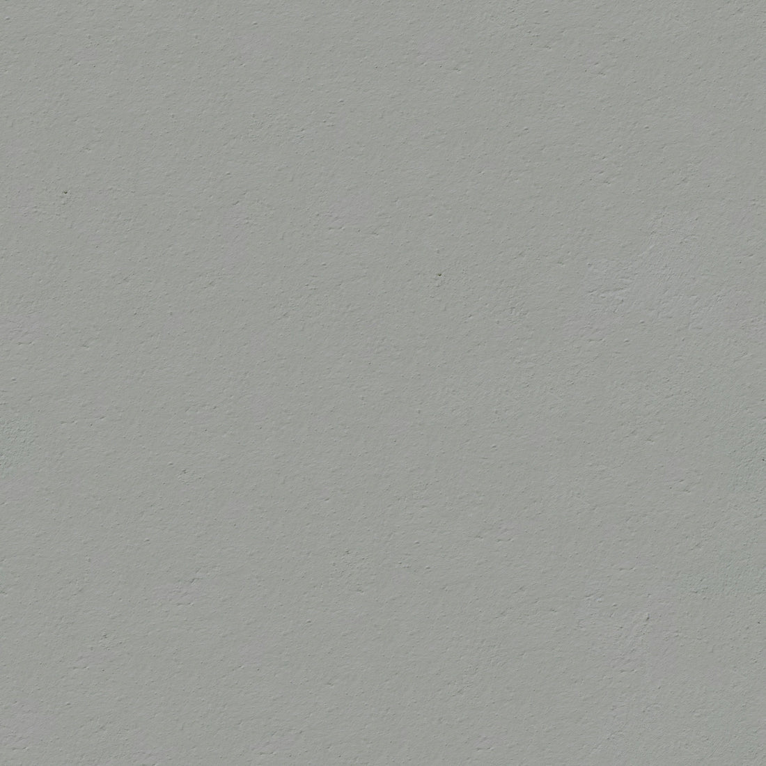 A bird flying in the air with a gray background