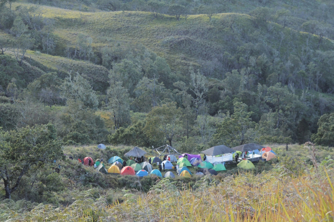 Tents are set up in a scenic, grassy landscape.