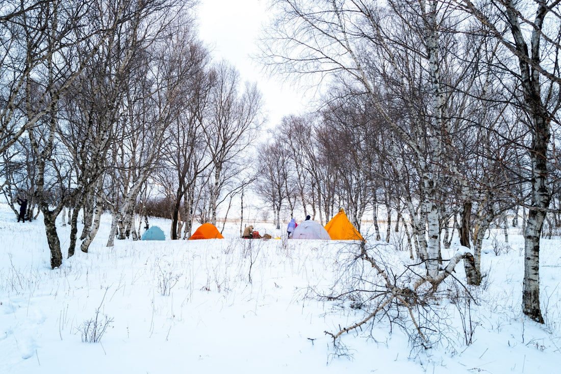 Tents are pitched in a snowy, wooded area.