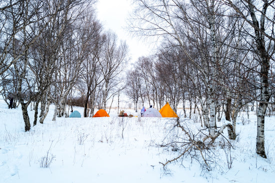 Tents are pitched in a snowy, wooded area.
