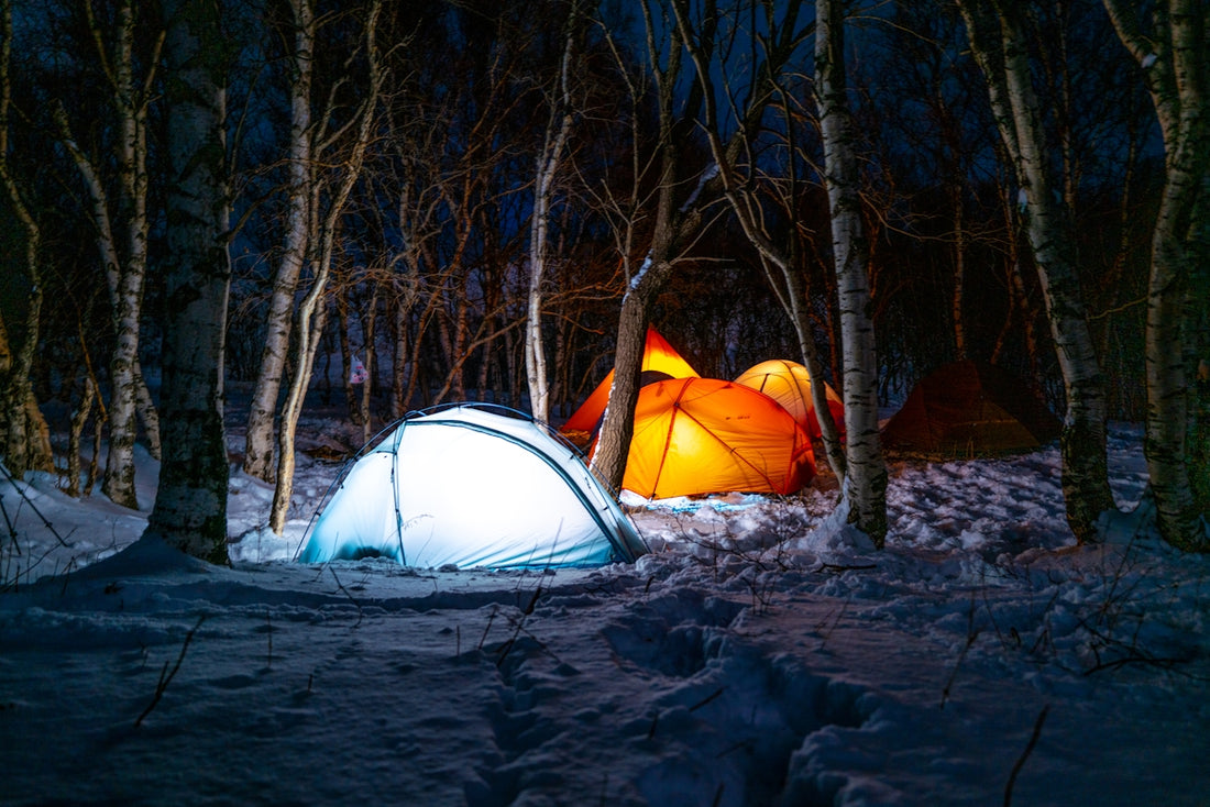 Lit tents glow in a snowy forest at night.