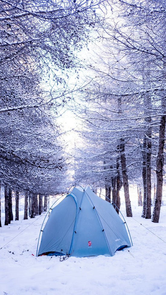 A tent sits in a snowy forest.