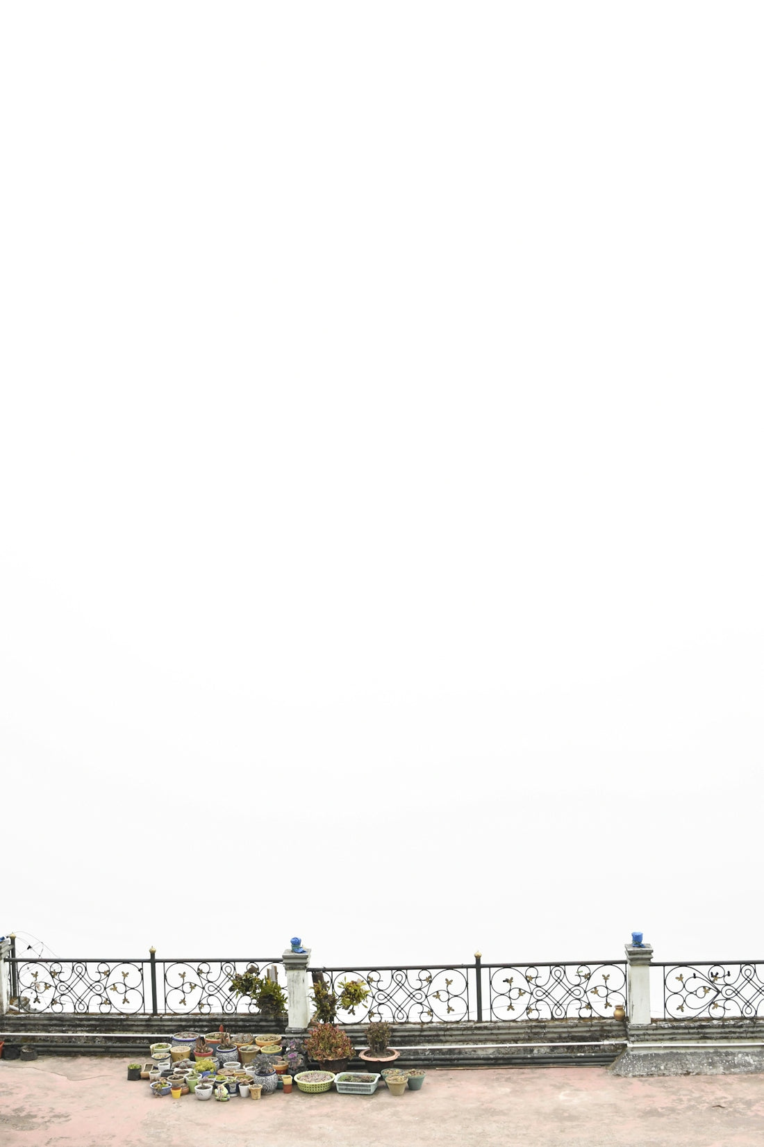 A rooftop railing with plants against a white sky.