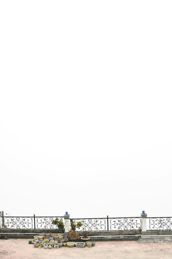 A rooftop railing with plants against a white sky.