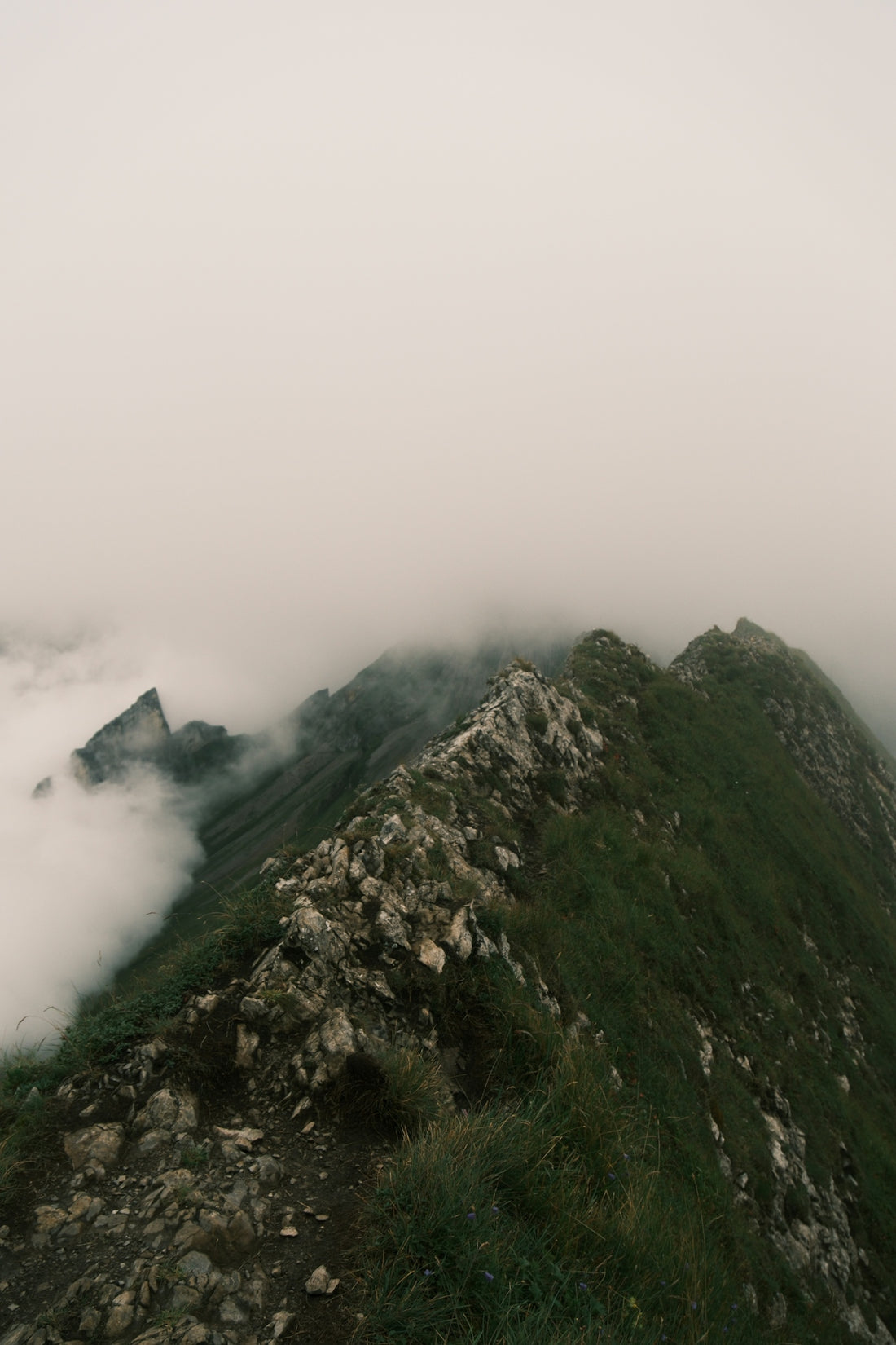 Misty mountain ridge with green grass and rocks