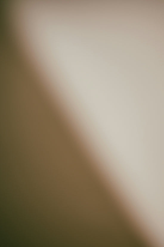 Soft gradient of beige and brown tones