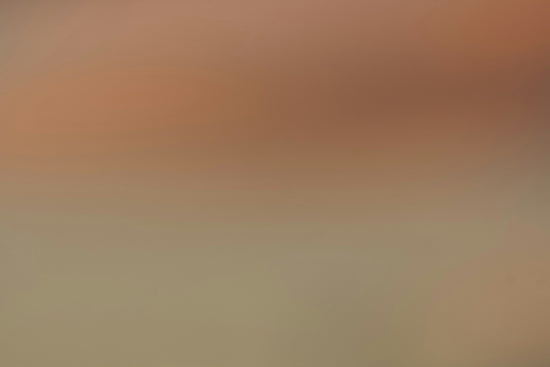 Soft gradient of warm peach and neutral beige colors.