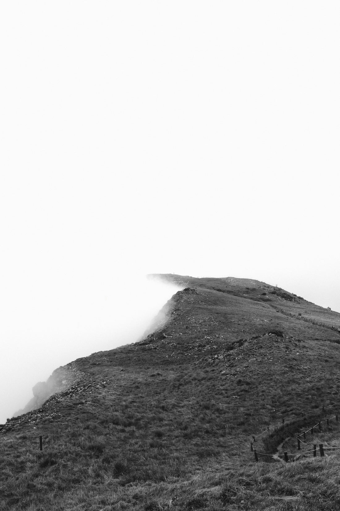 Grassy mountain ridge disappearing into fog