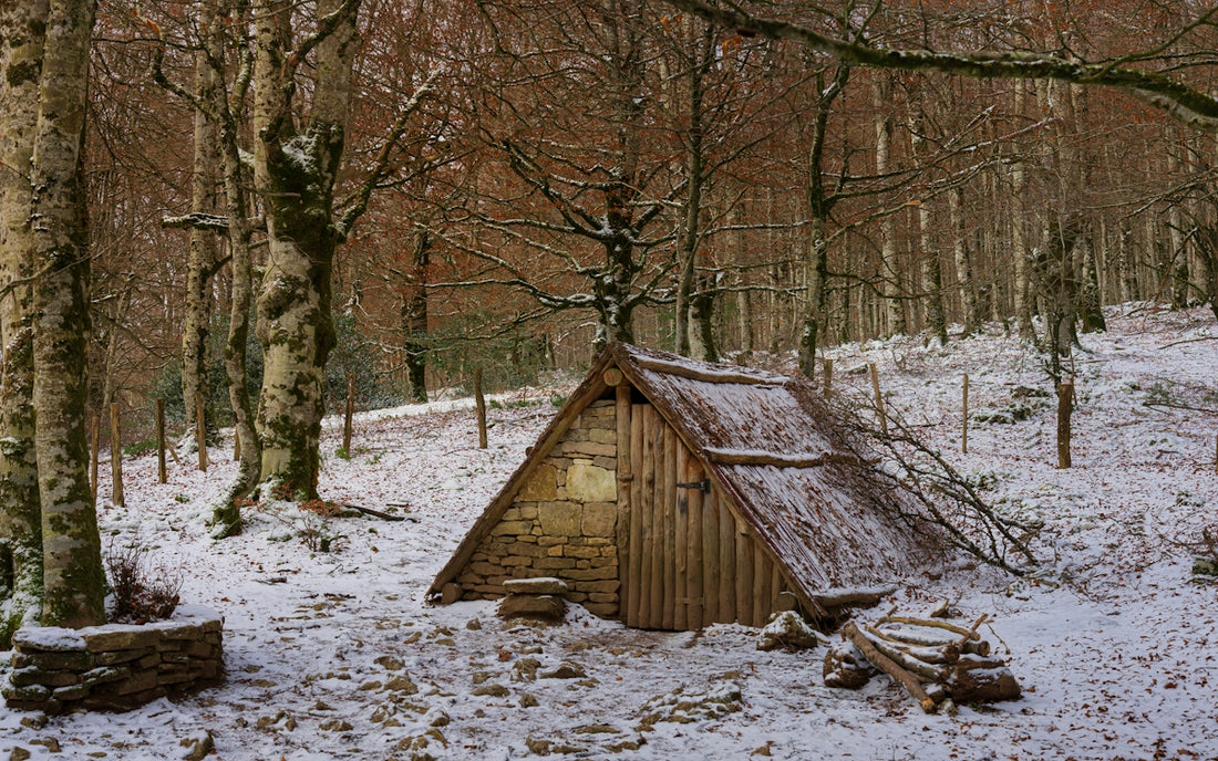 Wooden hut in a snowy forest with bare trees