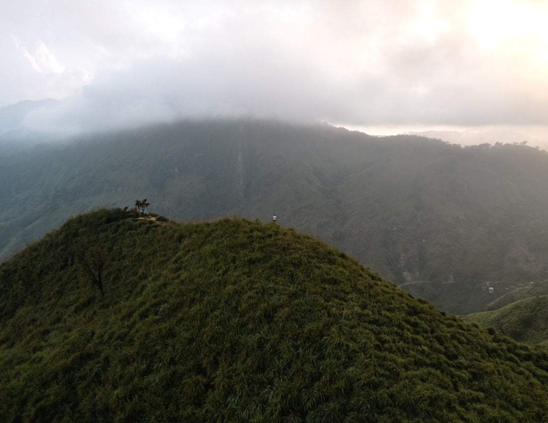 Misty mountains covered in lush green vegetation