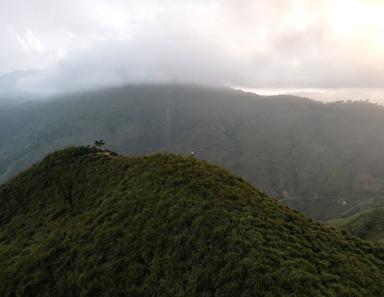Misty mountains covered in lush green vegetation