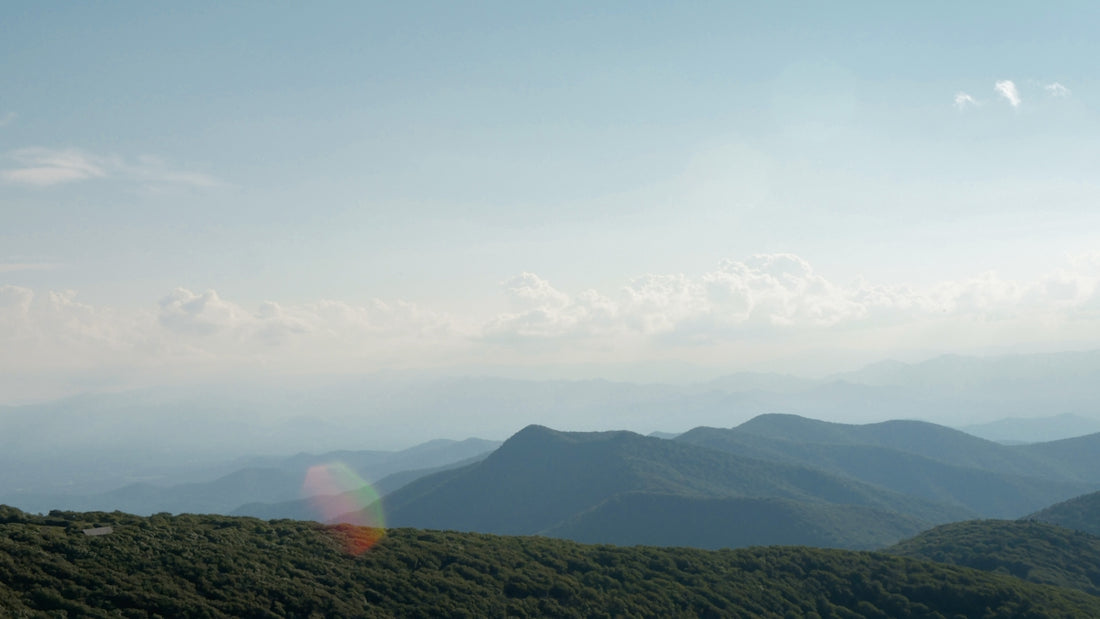 Distant mountains and green forest under a clear, hazy sky.