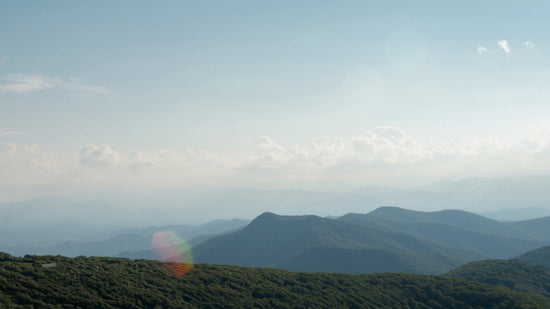Distant mountains and green forest under a clear, hazy sky.
