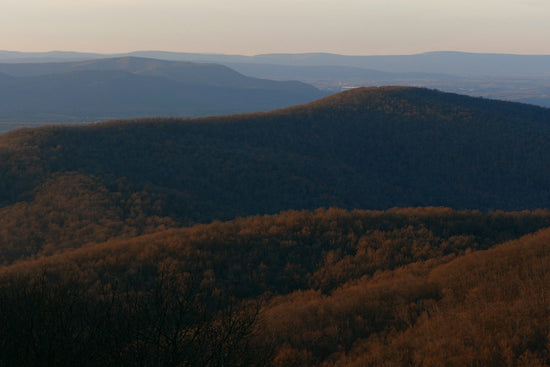 Hazy mountain range with forested hills in warm evening light.