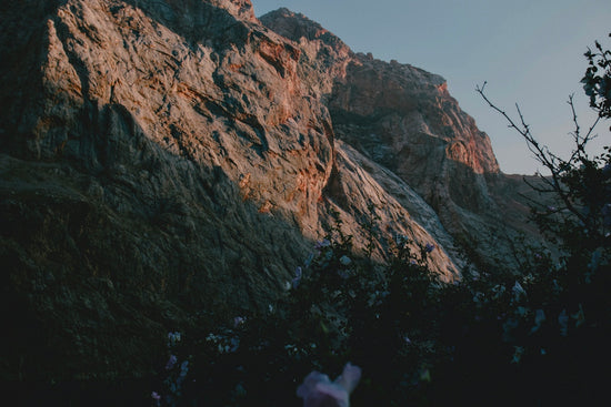 A rugged mountain face illuminated by warm light with dark foliage in the foreground
